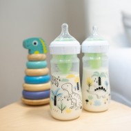 Dr. Brown's Plastična širokovratna steklenička 270 ml (2 komada) - Dino