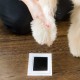 Pearhead PET Clean-Touch Odtis tačke s črnilom - Črna