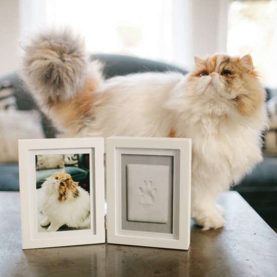 Pearhead® PET Namizni okvir - Slika in odtis tačke z glino