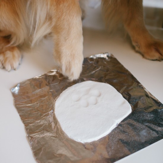 Pearhead® PET Namizni okvir - Slika in odtis tačke z glino