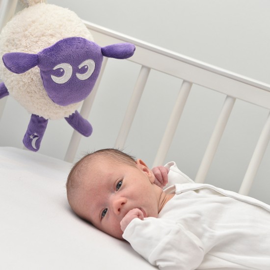 Sweet Dreamers Bacek Ewan Deluxe USB-C - Vijoličen